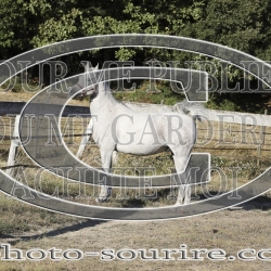 2025-©photo-sourire.com-COMET-1030