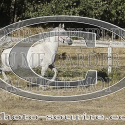 2025-©photo-sourire.com-COMET-1031