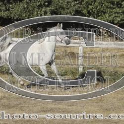 2025-©photo-sourire.com-COMET-1032