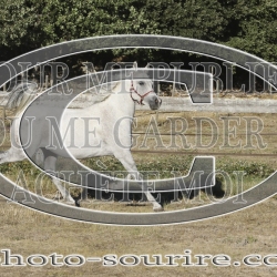 2025-©photo-sourire.com-COMET-1033