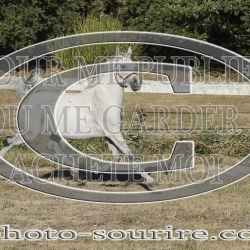 2025-©photo-sourire.com-COMET-1034