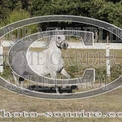 2025-©photo-sourire.com-COMET-1035