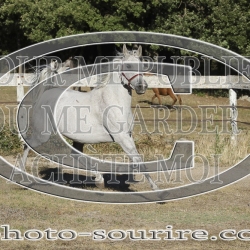 2025-©photo-sourire.com-COMET-1036