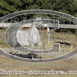 2025-©photo-sourire.com-COMET-1037