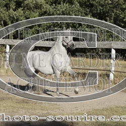 2025-©photo-sourire.com-COMET-1038