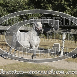 2025-©photo-sourire.com-COMET-1039