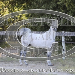 2025-©photo-sourire.com-COMET-1042