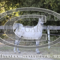 2025-©photo-sourire.com-COMET-1043