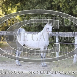 2025-©photo-sourire.com-COMET-1044