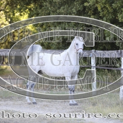 2025-©photo-sourire.com-COMET-1045