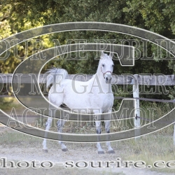 2025-©photo-sourire.com-COMET-1046