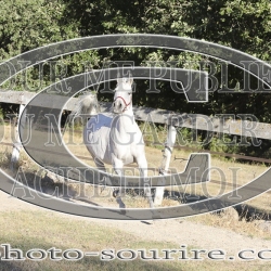 2025-©photo-sourire.com-COMET-1047