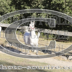 2025-©photo-sourire.com-COMET-1048