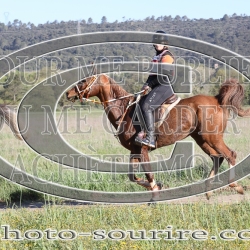 2025-©photo-sourire.com-EVENTS-BLUE-RIDE-5016