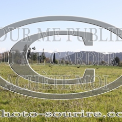 2025-©photo-sourire.com-EVENTS-BLUE-RIDE-5074