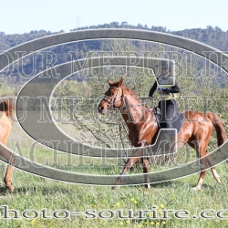 2025-©photo-sourire.com-EVENTS-BLUE-RIDE-5163