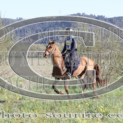 2025-©photo-sourire.com-EVENTS-BLUE-RIDE-5166