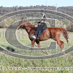 2025-©photo-sourire.com-EVENTS-BLUE-RIDE-5171