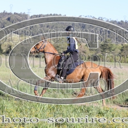 2025-©photo-sourire.com-EVENTS-BLUE-RIDE-5172