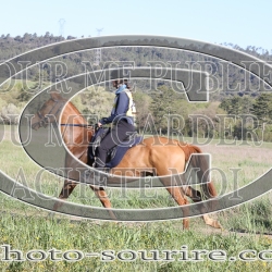 2025-©photo-sourire.com-EVENTS-BLUE-RIDE-5173