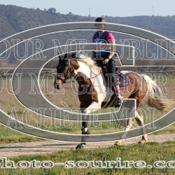 2025-©photo-sourire.com-EVENTS-BLUE-RIDE-1028