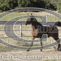 2025-©photo-sourire.com-HONORA-1002