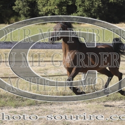 2025-©photo-sourire.com-HONORA-1003