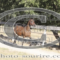 2025-©photo-sourire.com-HONORA-1004