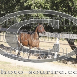 2025-©photo-sourire.com-HONORA-1004