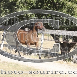 2025-©photo-sourire.com-HONORA-1005