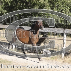 2025-©photo-sourire.com-HONORA-1006