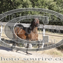 2025-©photo-sourire.com-HONORA-1007