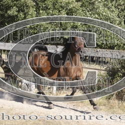 2025-©photo-sourire.com-HONORA-1008