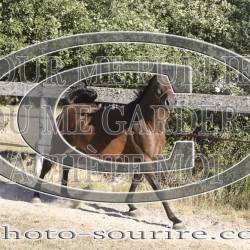 2025-©photo-sourire.com-HONORA-1009