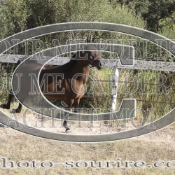 2025-©photo-sourire.com-HONORA-1010