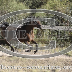 2025-©photo-sourire.com-HONORA-1011