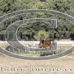 2025-©photo-sourire.com-HONORA-1012