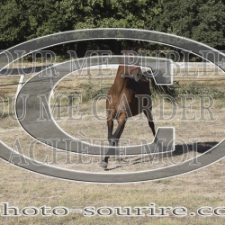 2025-©photo-sourire.com-HONORA-1013