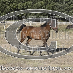 2025-©photo-sourire.com-HONORA-1014