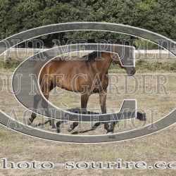 2025-©photo-sourire.com-HONORA-1015