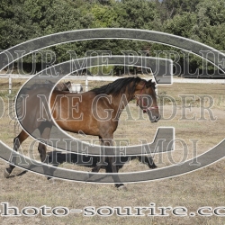 2025-©photo-sourire.com-HONORA-1016