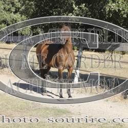 2025-©photo-sourire.com-HONORA-1017