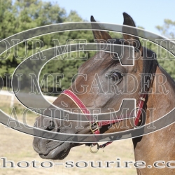 2025-©photo-sourire.com-HONORA-1018