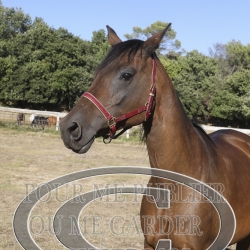 2025-©photo-sourire.com-HONORA-1022