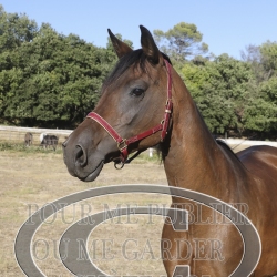 2025-©photo-sourire.com-HONORA-1023