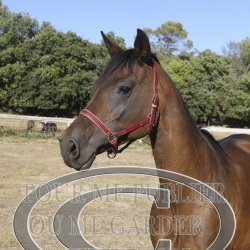 2025-©photo-sourire.com-HONORA-1024