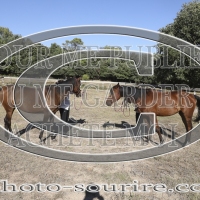 2025-©photo-sourire.com-IZOTOP-1000