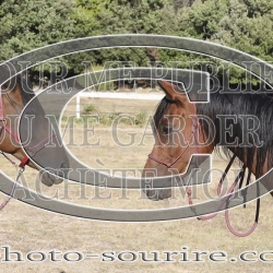 2025-©photo-sourire.com-IZOTOP-1002