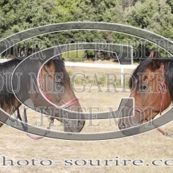 2025-©photo-sourire.com-IZOTOP-1003