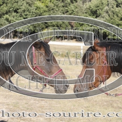 2025-©photo-sourire.com-IZOTOP-1004